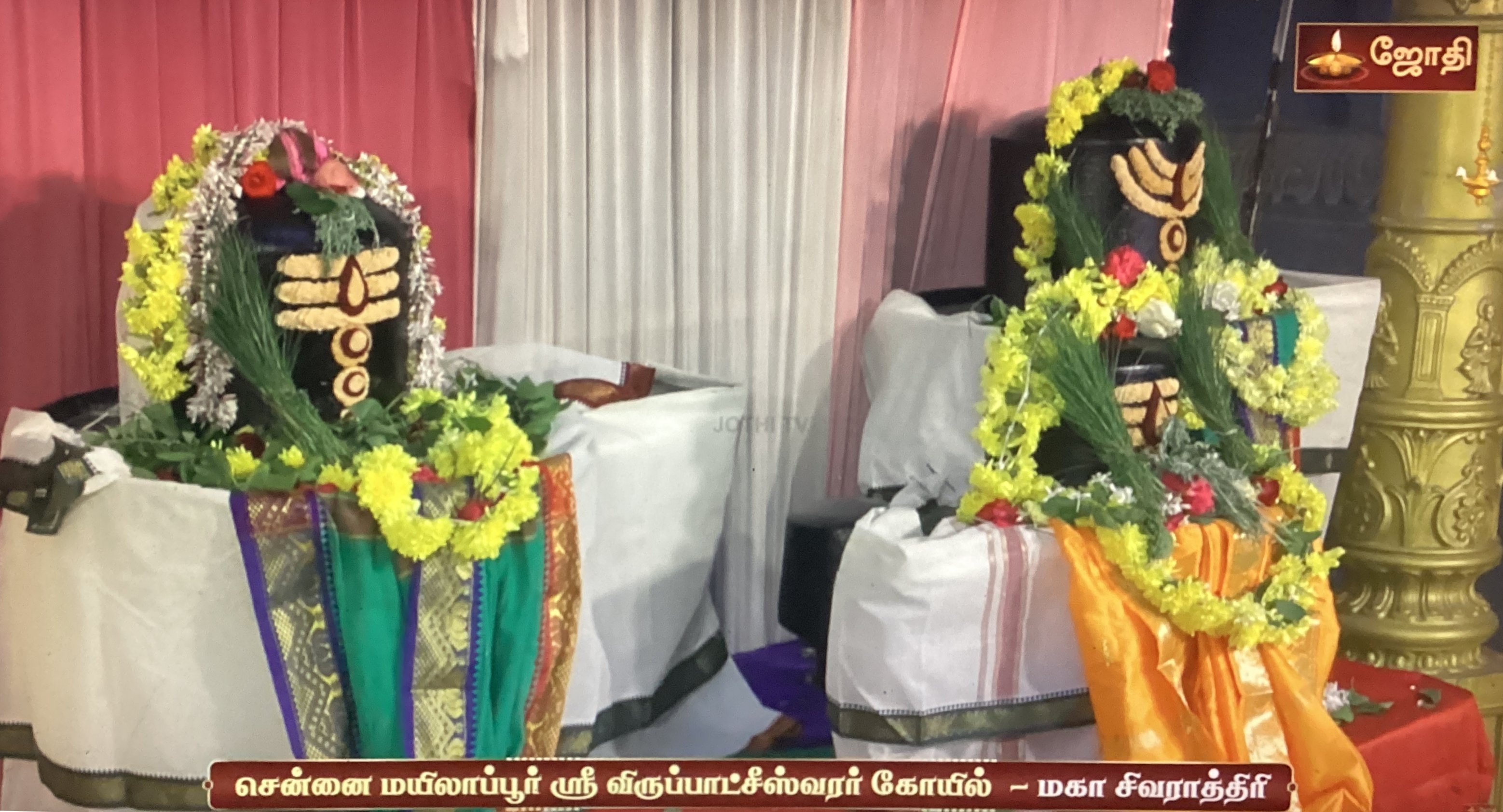 Maha Sivaratri - Chennai Mylapore Virubatcheeswarar Koil