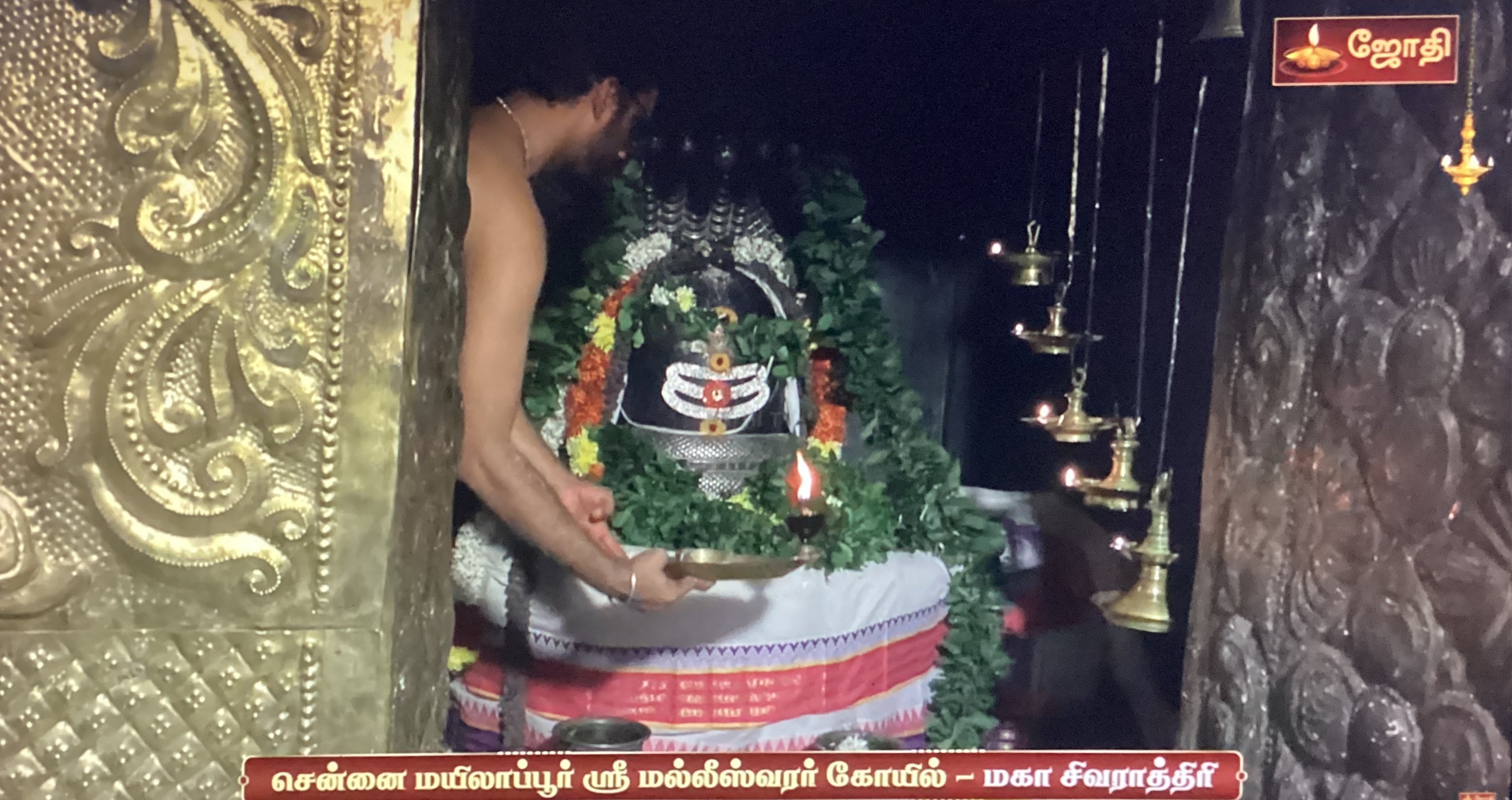 Maha Sivaratri - Chennai Mylapore Malleeswarar Koil